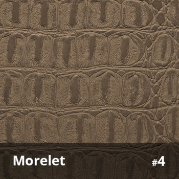 Morelet 4